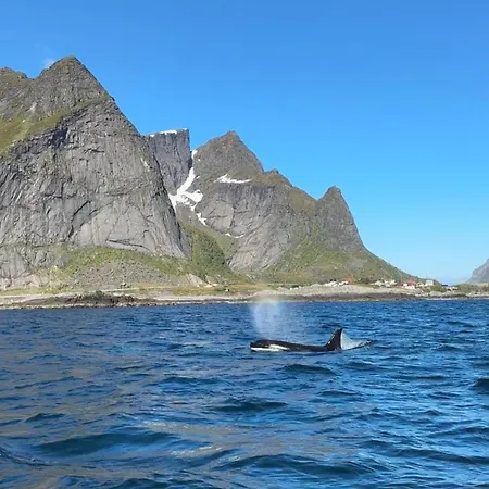 Panzió Lofoten - &
